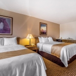 Two Queen Beds