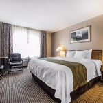 Hotel room with king bed