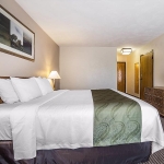 Queen bed hotel room